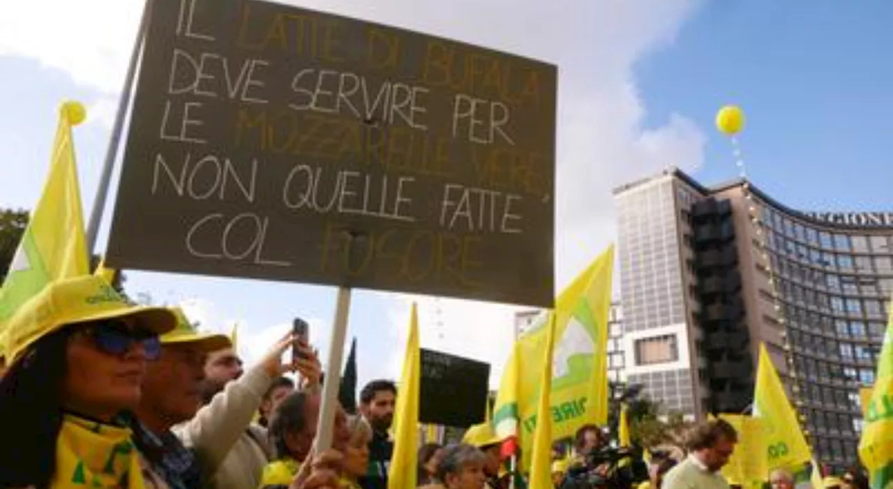 Coldiretti, agricoltori in protesta alla Regione Lazio. L'incontro con il presidente Rocca: «Attenzione su ric