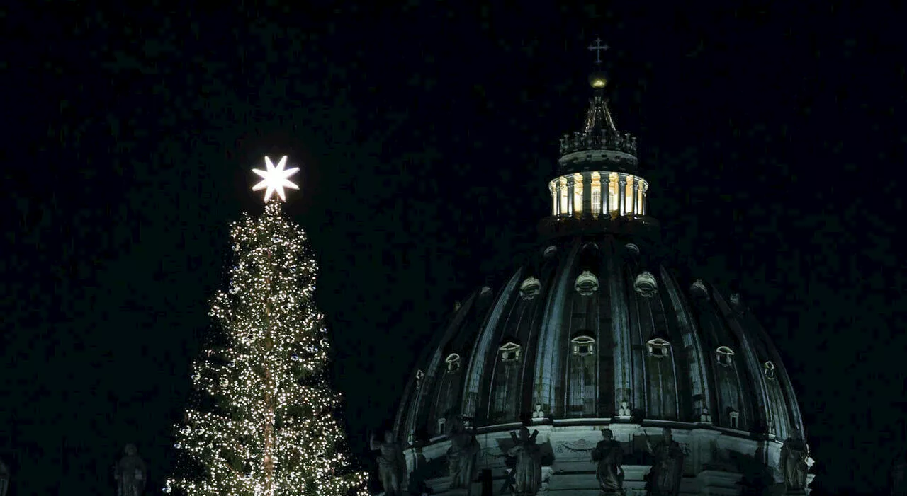 Vaticano, l'abete secolare del Trentino verrà abbattuto per il Papa, il cardinale replica: «scelta ecologica»