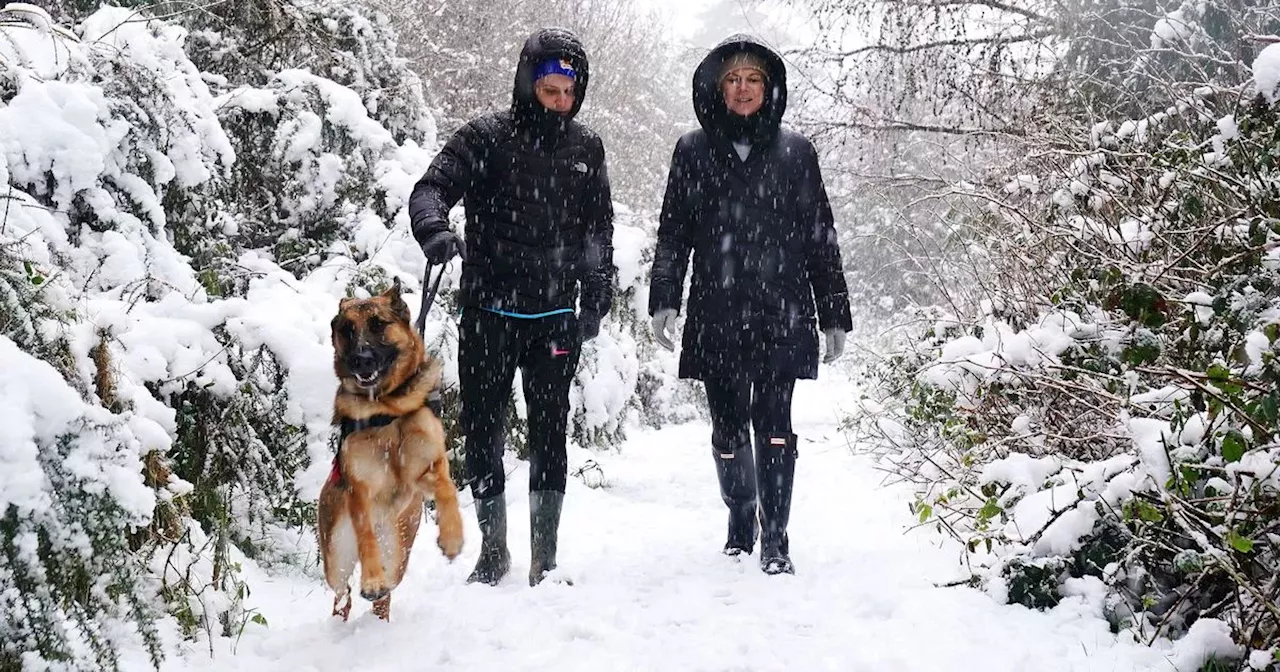 Irish households urged to buy 6 essential food items before 'snowstorm' hits