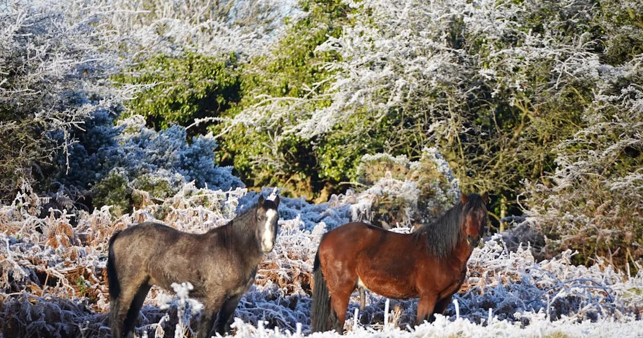 Ireland weather: Yellow warning in place as Met Éireann forecasts chance of snow in some areas