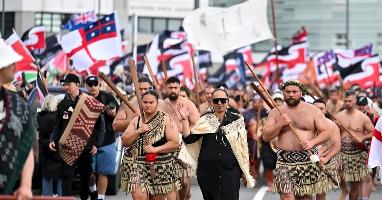 Tens of thousands rally at New Zealand parliament against Bill to alter Maori rights