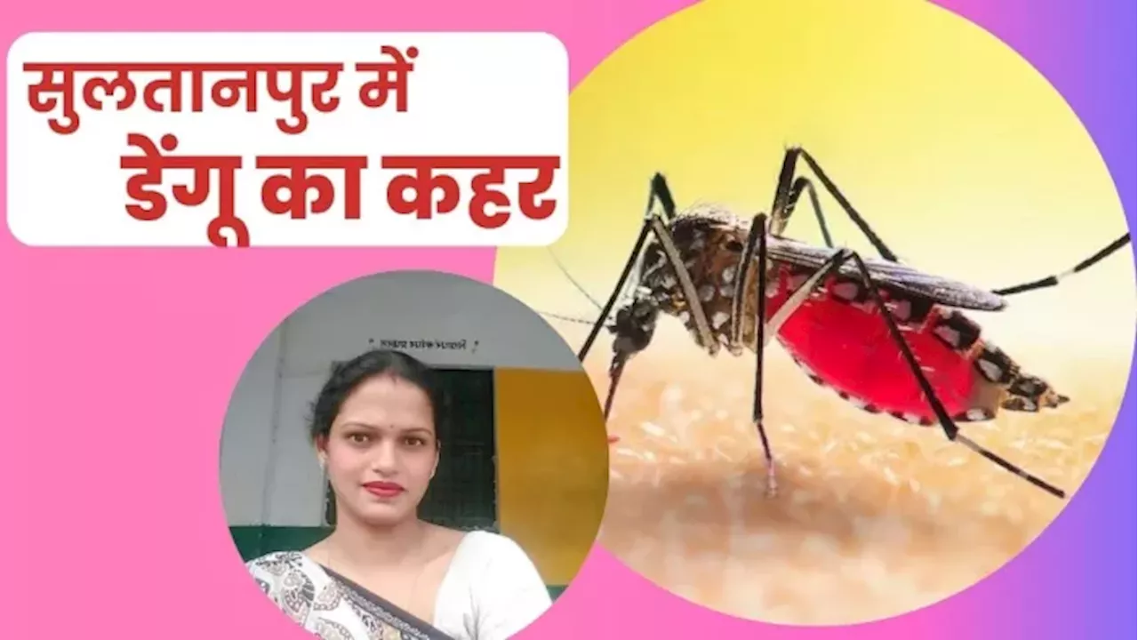 Dengue Case: सुलतानपुर में डेंगू के बढ़ते मामलों ने बढ़ाई चिंता; एक महिला टीचर की मौत, कई लोग बीमार