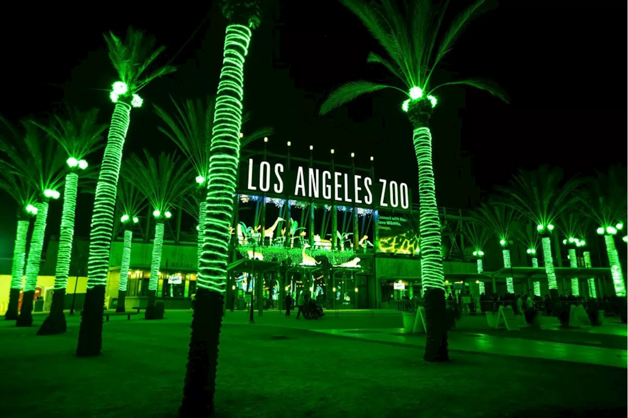 L.A. Zoo Lights will celebrate holidays with lantern sculptures and lights