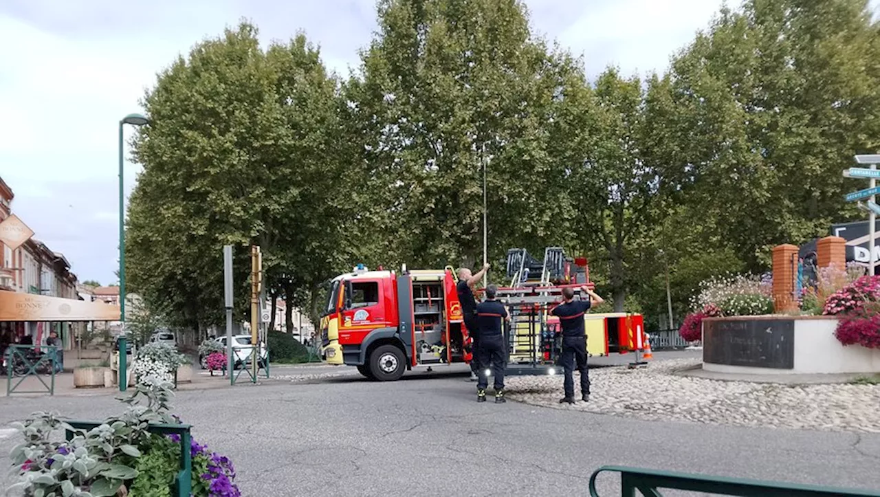 Auterive. Les sapeurs pompiers mobilisés pour le Téléthon