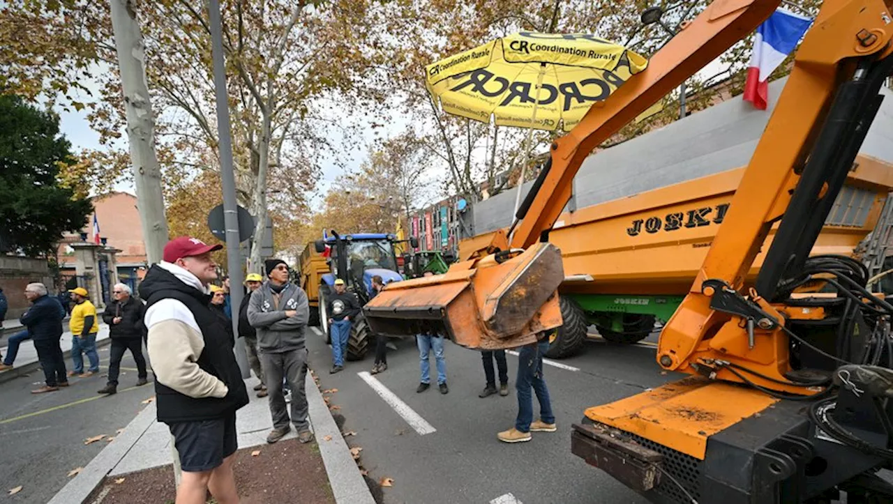 Colère des agriculteurs : les tracteurs de la Coordination rurale ont bloqué le centre d’Albi