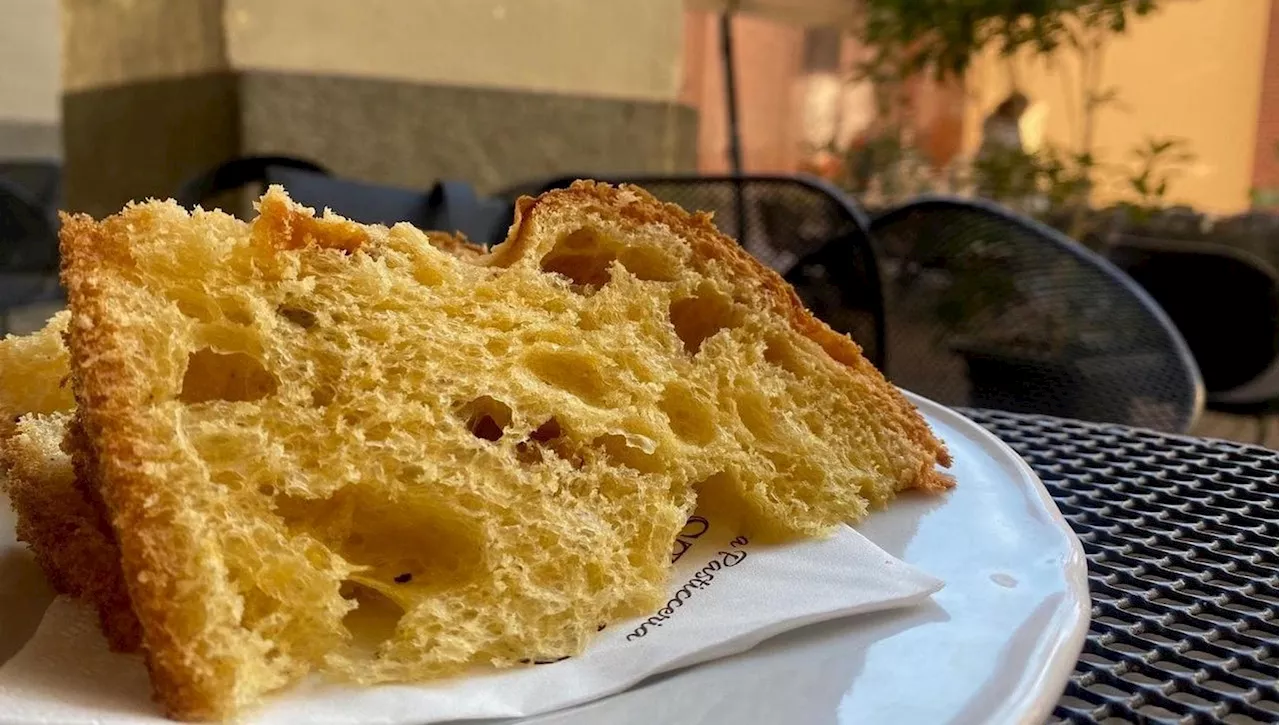 Ed ecco Pancrìcrì, il primo panettone con la farina di grilli e gli insetti caramellati