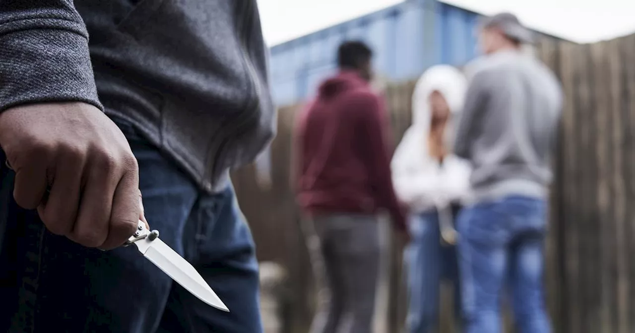 À Nantes, une bande d’ados hyperviolents arrêtée après une série d’agressions