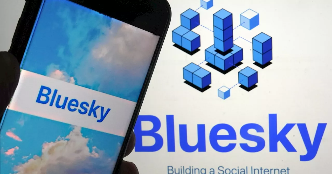 Musk, la sinistra fugge da X per approdare su Bluesky: ecco la Capalbio dei social