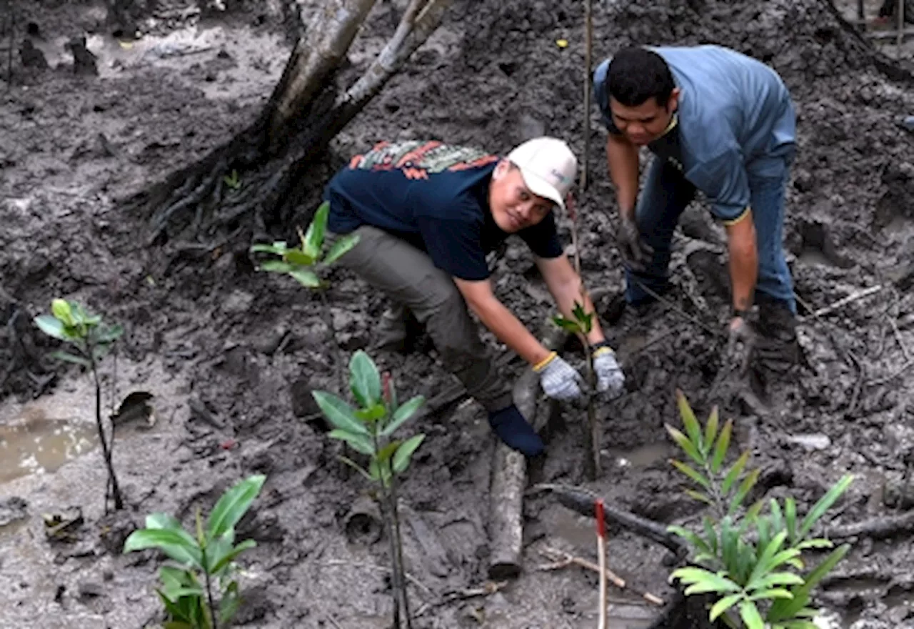 Nik Nazmi: Forest reserve equal to 400 Titiwangsa parks illegally stripped