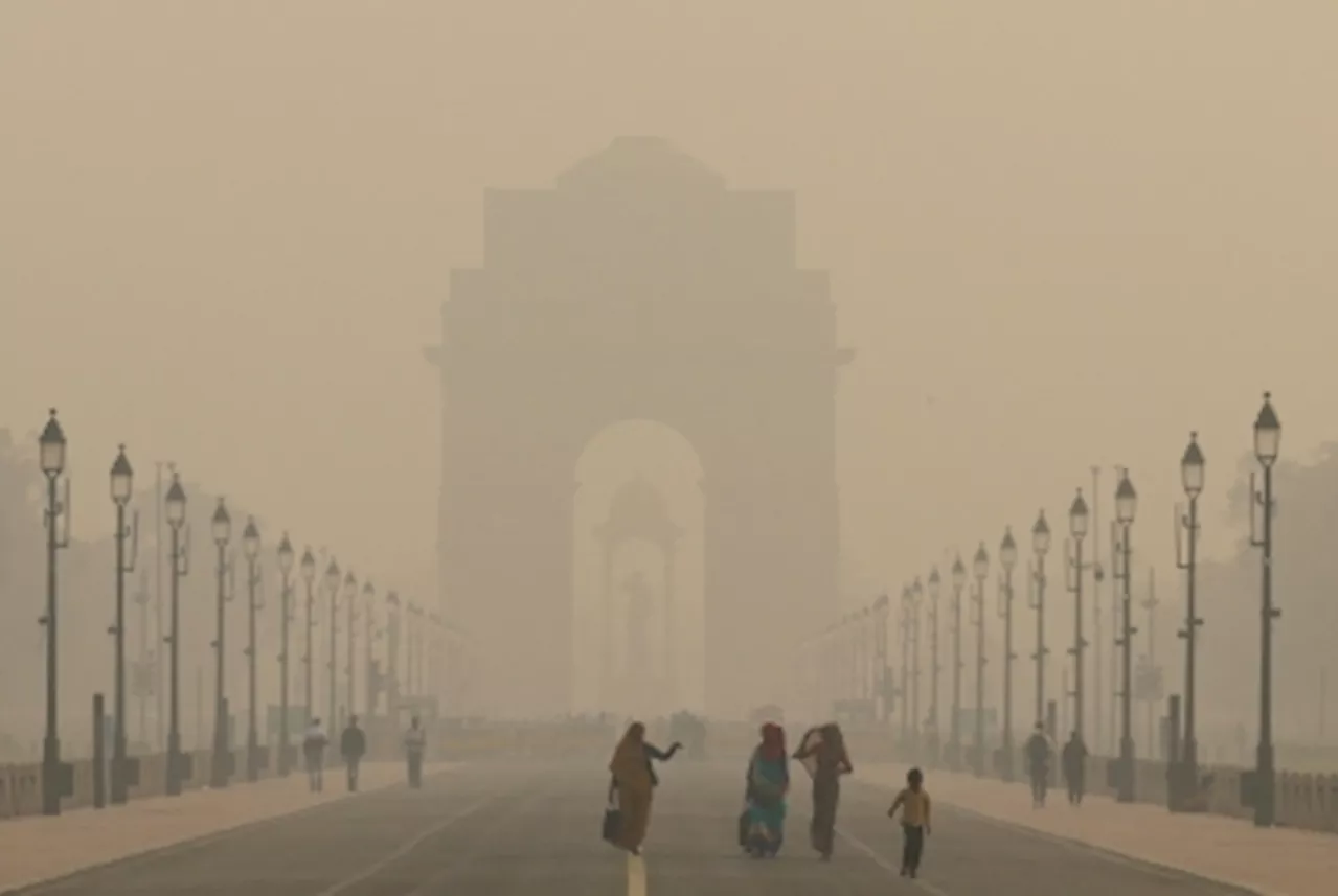 Punjab farm fires hit new high, blanketing New Delhi in hazardous smog