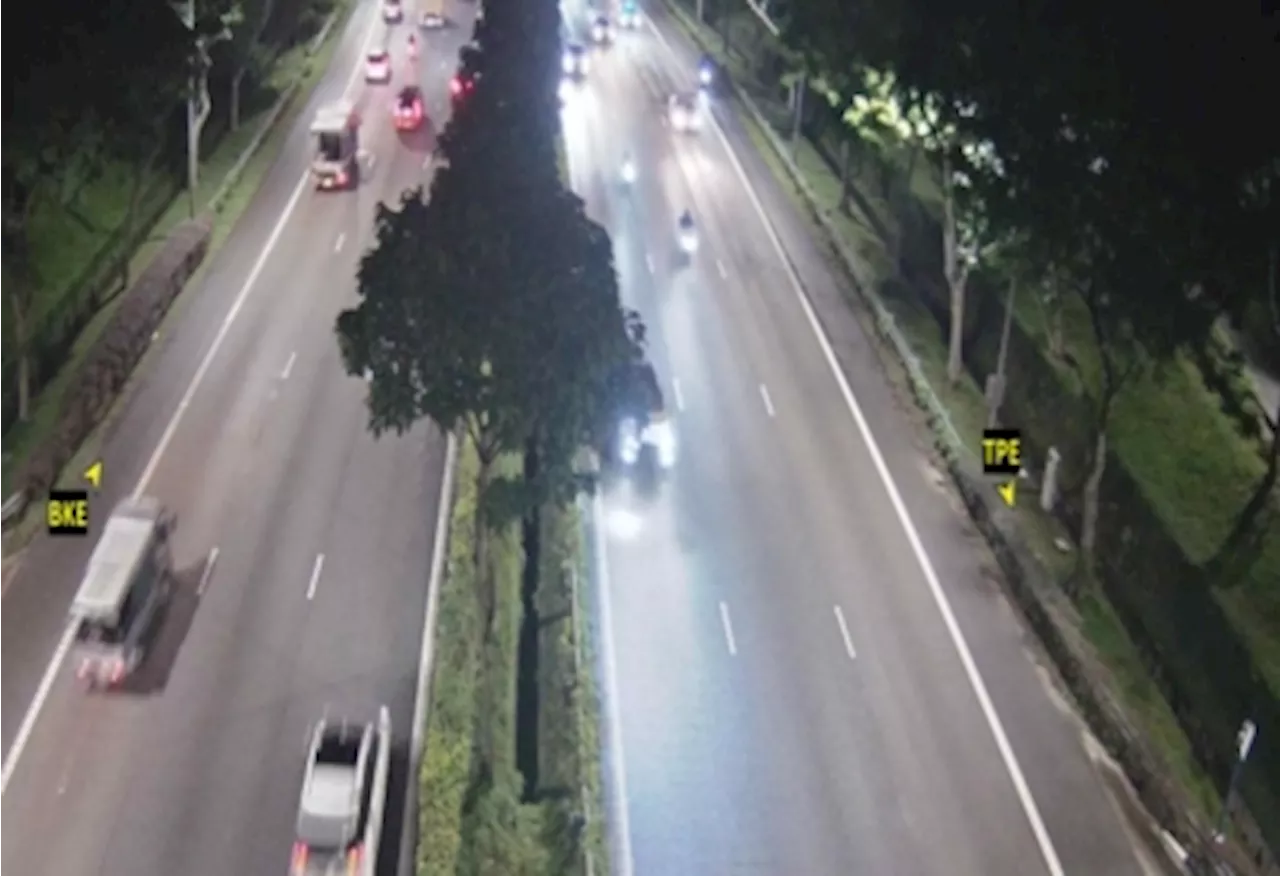 Two Malaysians hurt in Singapore crash on Seletar Expressway, one in critical condition following collision with trailer; driver arrested for careless driving