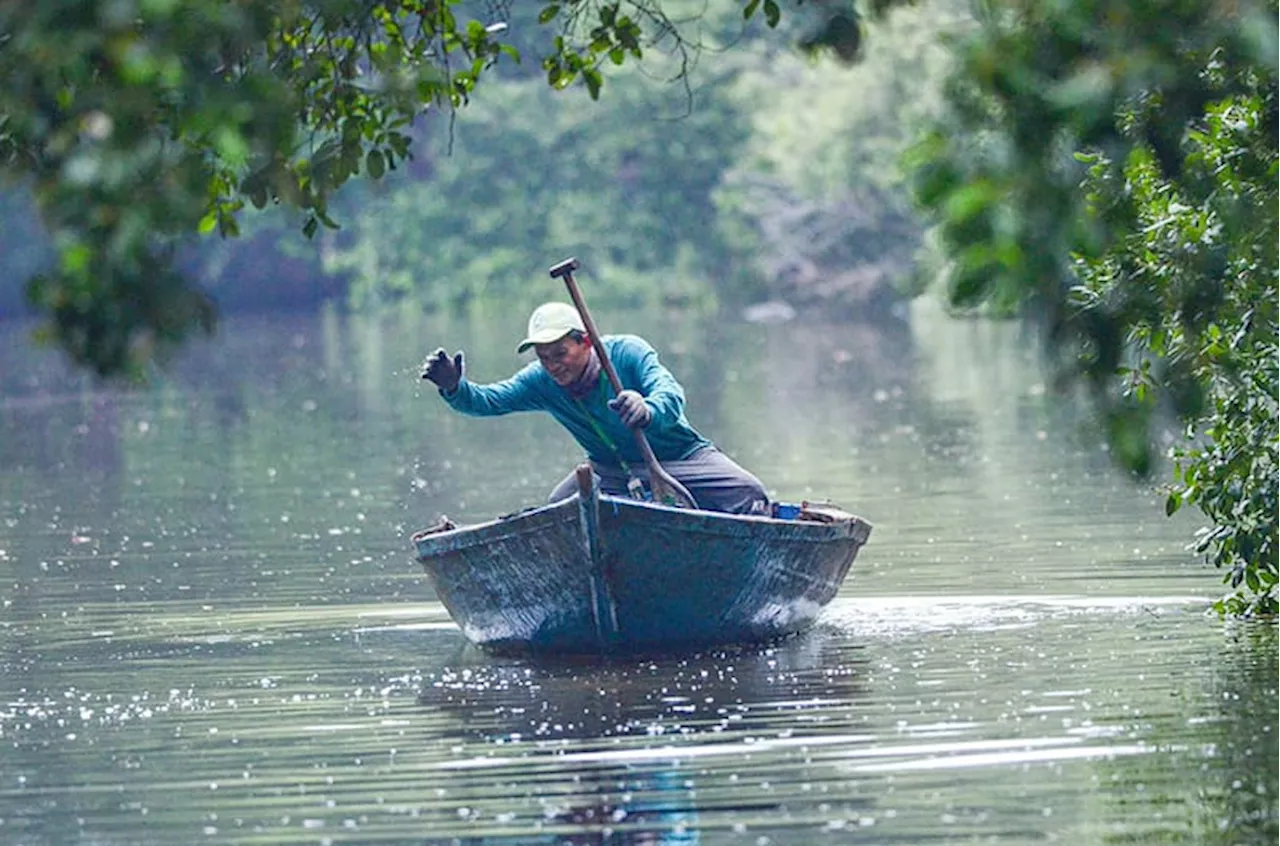 Monitoring Hutan Mangrove