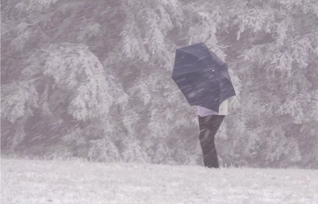 Viel Regen, Sturm und Schnee: Tief Quiteria bringt turbulentes Wetter nach Bayern