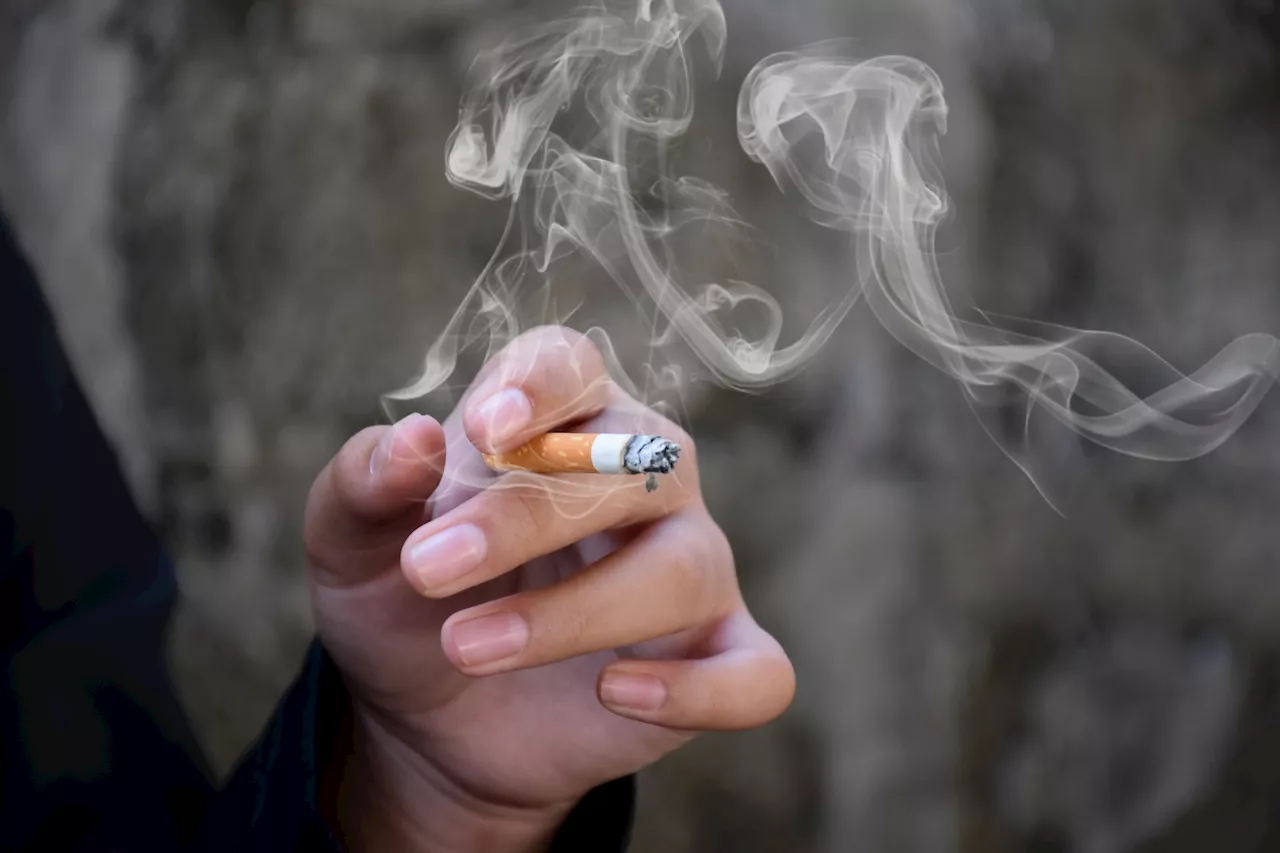 Disparities related to tobacco use is not consistent with all population groups, report finds