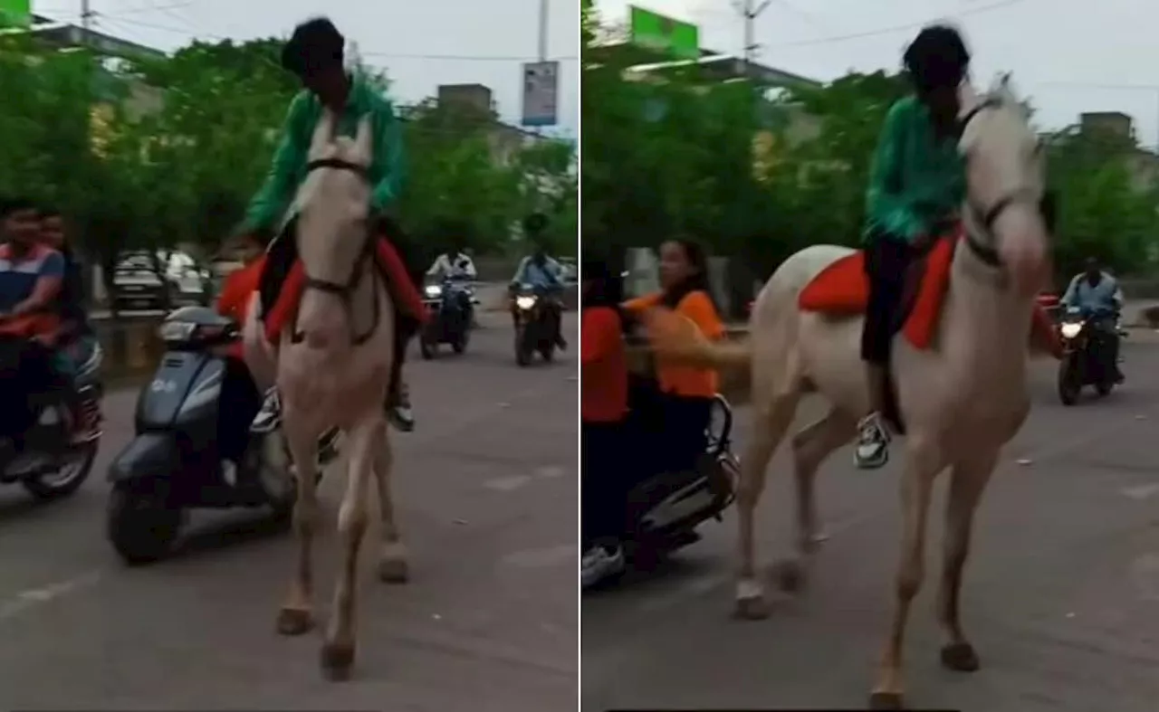 स्कूटी सवार महिलाओं को बगल से जा रहे घोड़े ने अचानक मारी लात, फिर जो हुआ, Video देख फूटा लोगों का गुस्सा