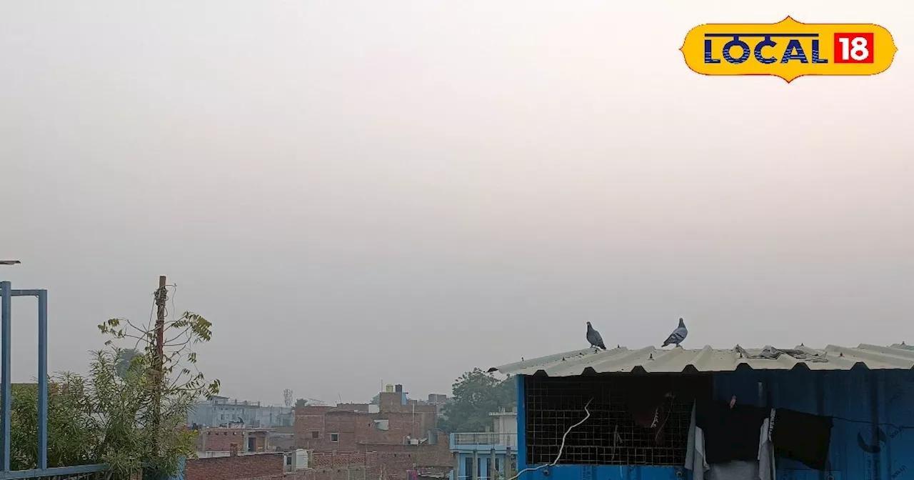 Prayagraj Weather Update: प्रयागराज में आज सुबह में छाया घना कोहरा, दोपहर में मौसम रहेगा साफ, न्यूनतम तापमा...