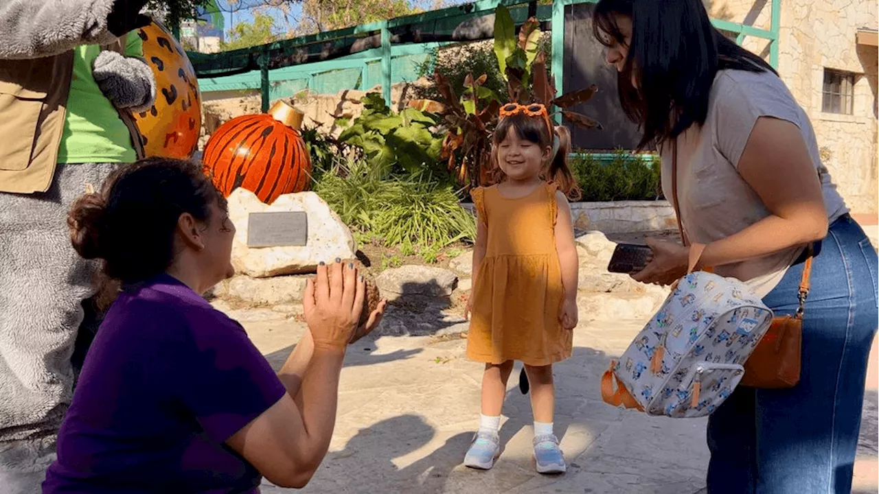 San Antonio Zoo celebrates one millionth visitor this year