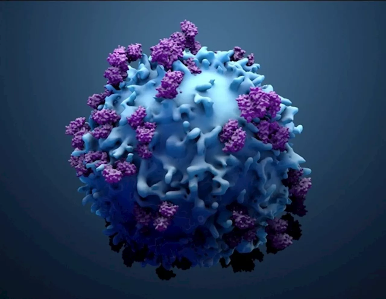 New CAR T-cell therapy shows promise against aggressive HER2+ breast cancer