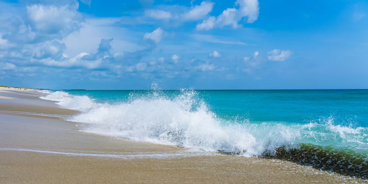 Swimmers in 2 States Told to Stay Out of Water as Waves Reach 7 Feet