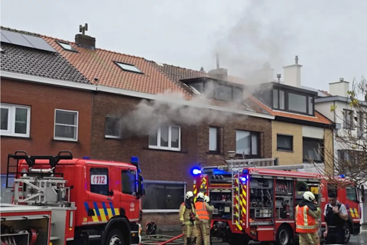 Woning onbewoonbaar na felle brand: “Drie katjes van bewoonster overleefden brand niet”