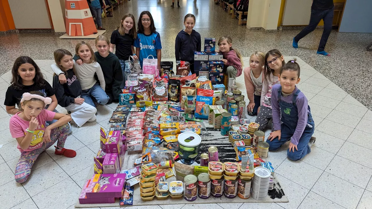 Enzersdorfer Volksschüler sammelten Spenden für Brucker Tierheim