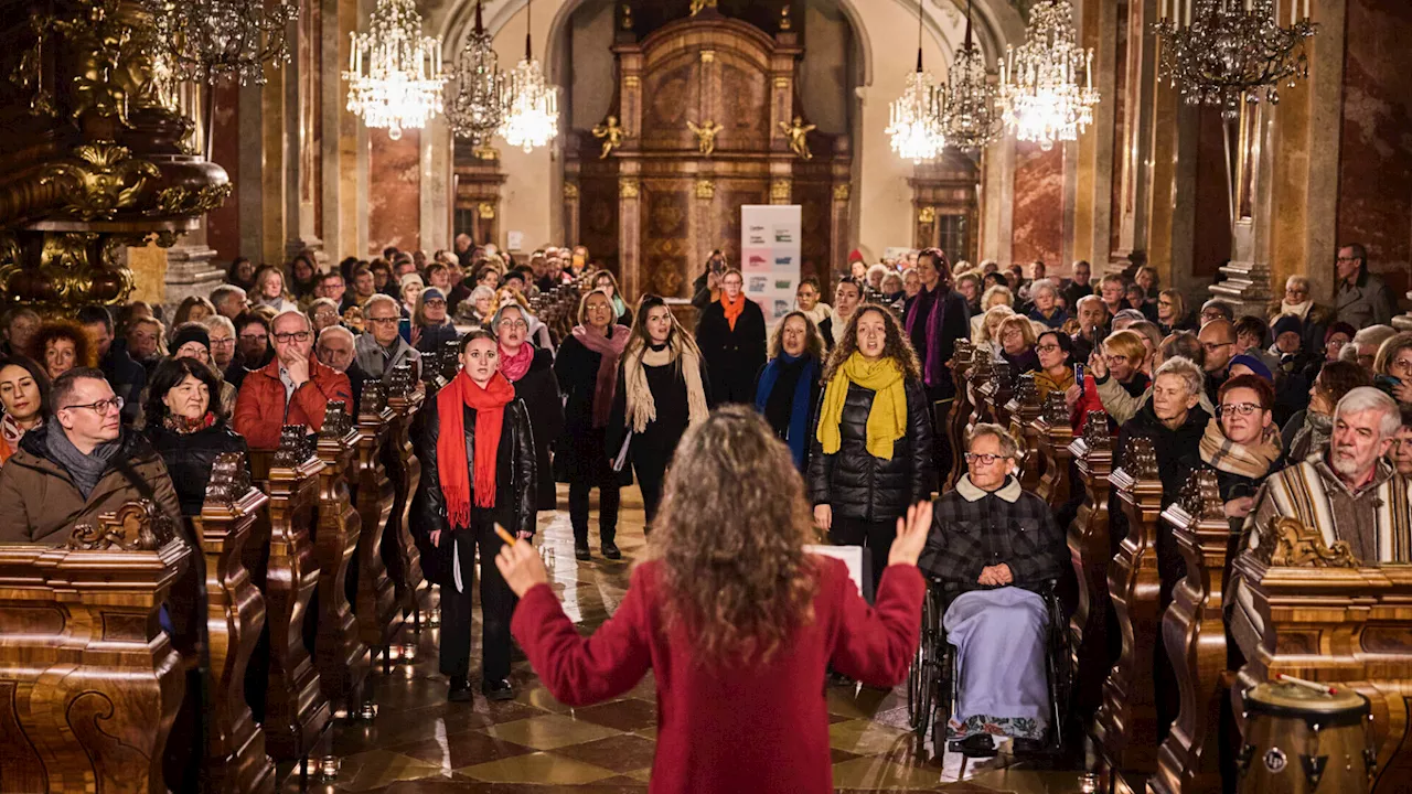 Leopoldi-Benefizkonzert im Dom St. Pölten kam gut an