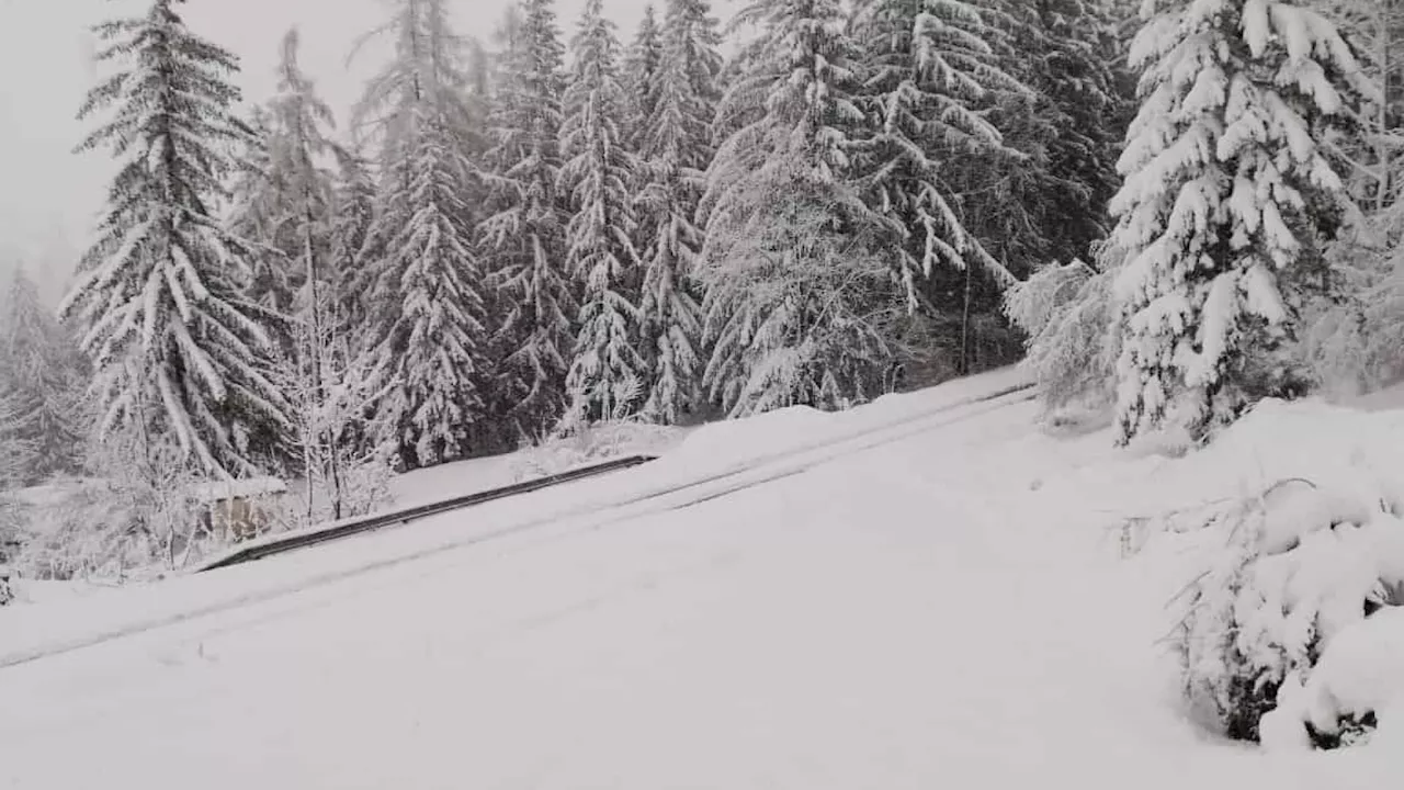 Schneefälle in Niederösterreich: Jetzt wird es winterlich