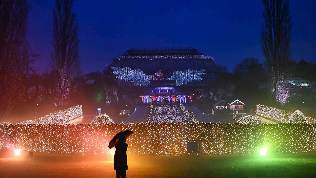 Berlin & Brandenburg: Weihnachtliches Leuchten im Botanischen Garten beginnt