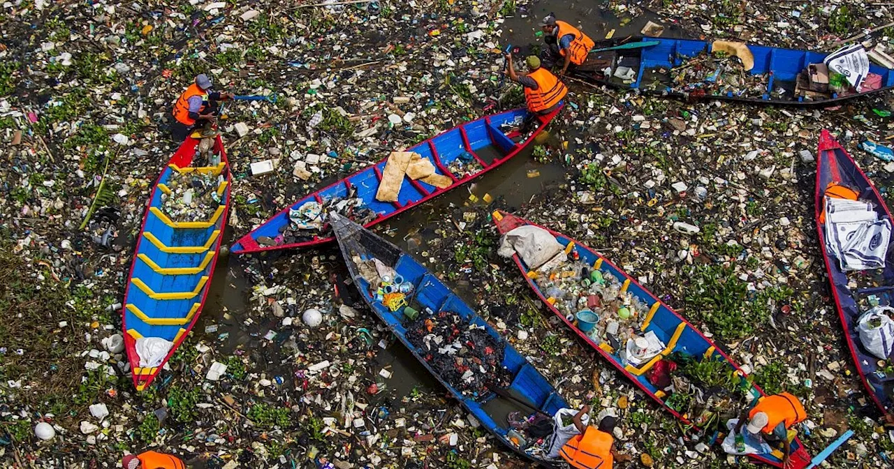 Plastikmüll ließe sich durch vier Schritte stark verringern