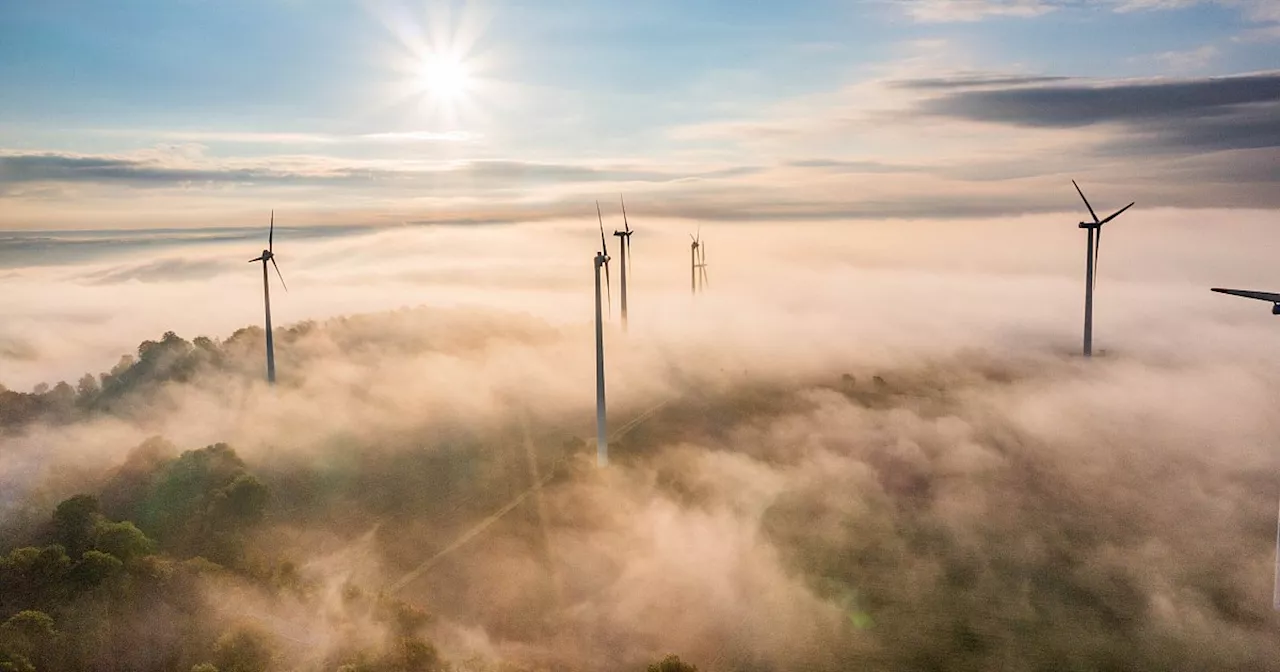 Städte im Kreis Höxter schlagen Alarm: Windkraftausbau völlig unkontrolliert