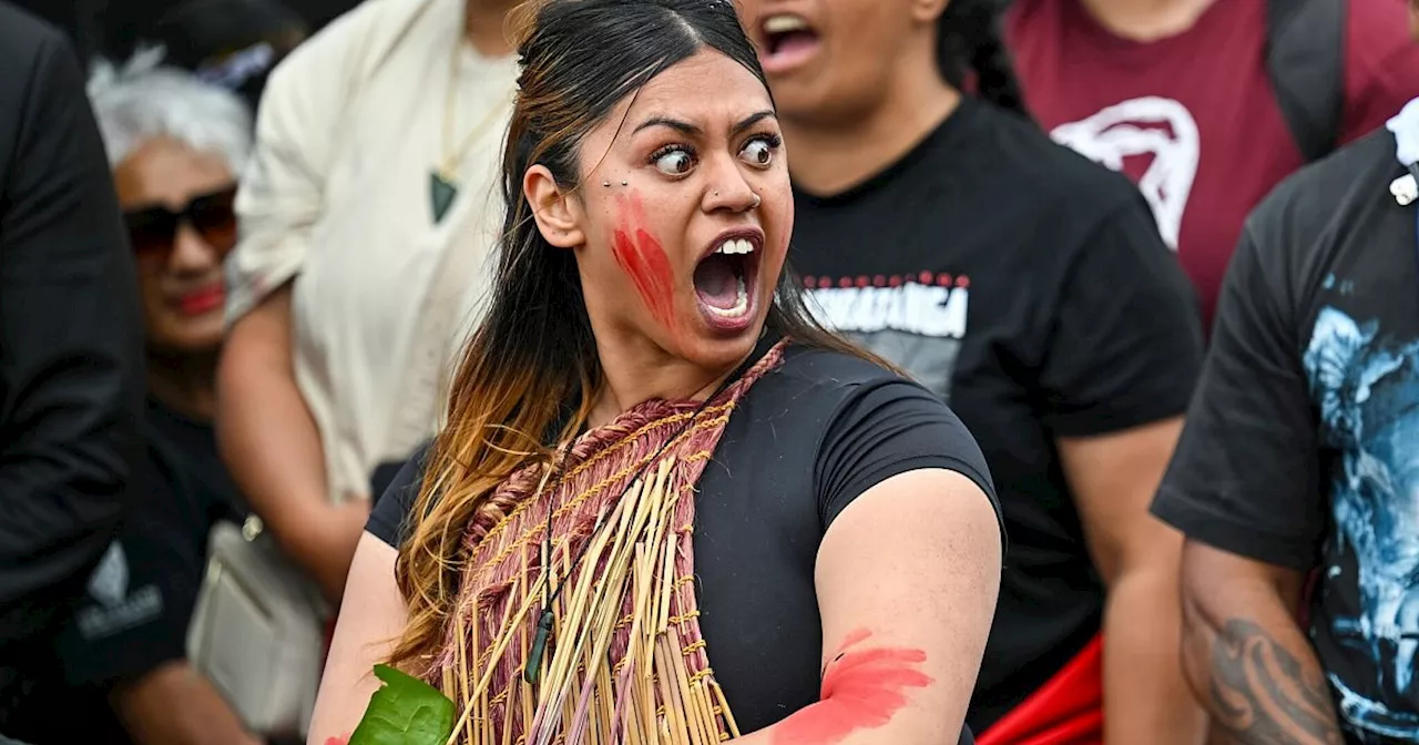 Zehntausende bei Maori-Protesten in Neuseeland