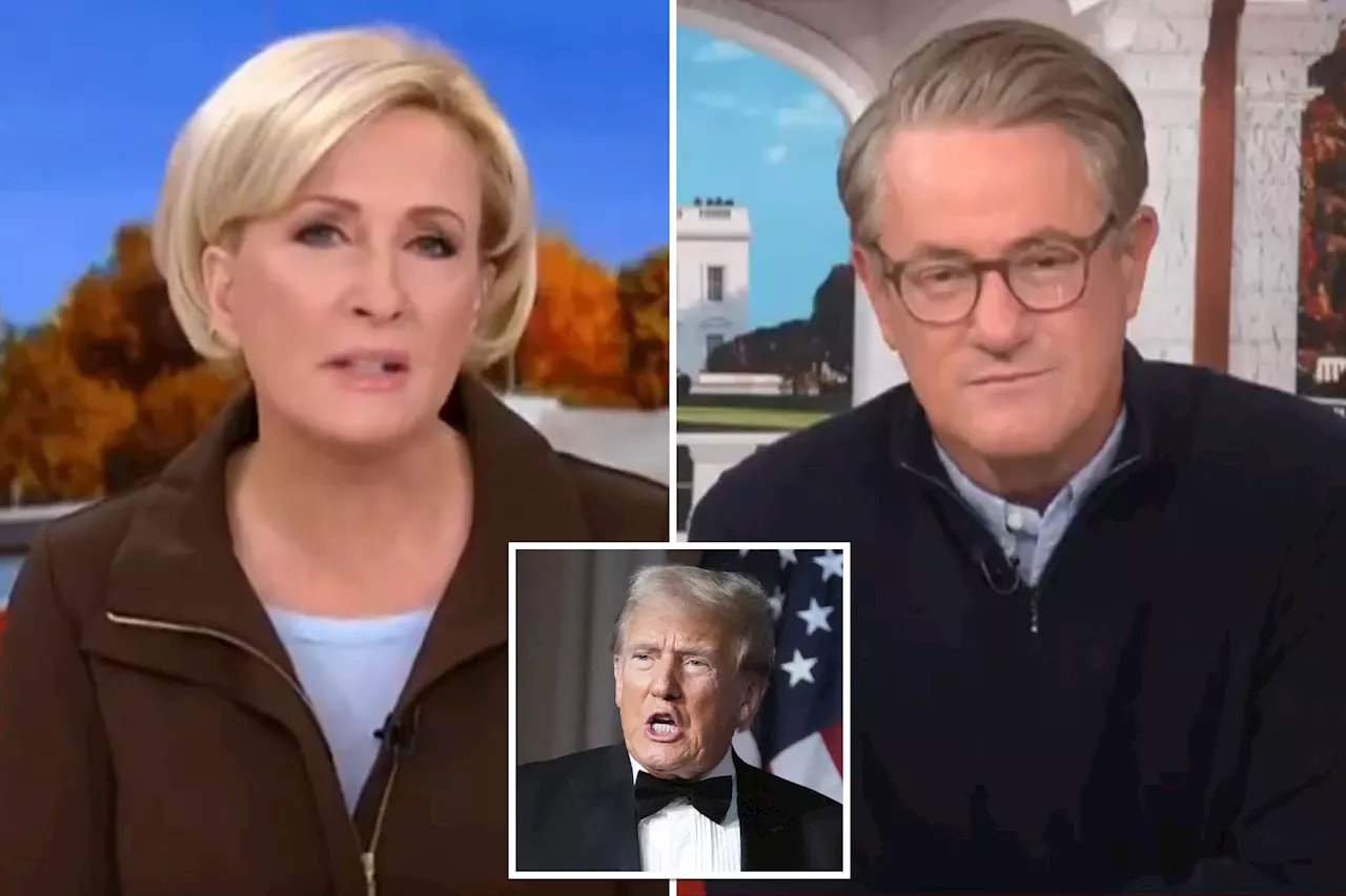 MSNBC staffers slam 'Morning Joe' co-hosts after Mar-a-Lago summit with Trump: 'Cowardice'