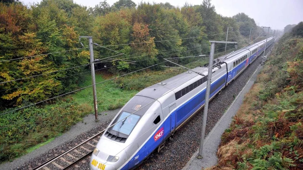 Grève SNCF : trafic « quasi-normal sur les TGV » jeudi, quelques lignes régionales perturbées