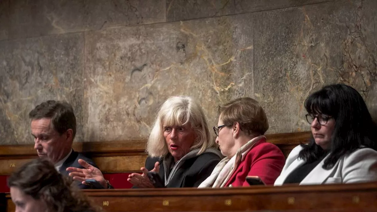 La députée Christine Engrand suspendue du groupe RN à l’Assemblée pour six mois