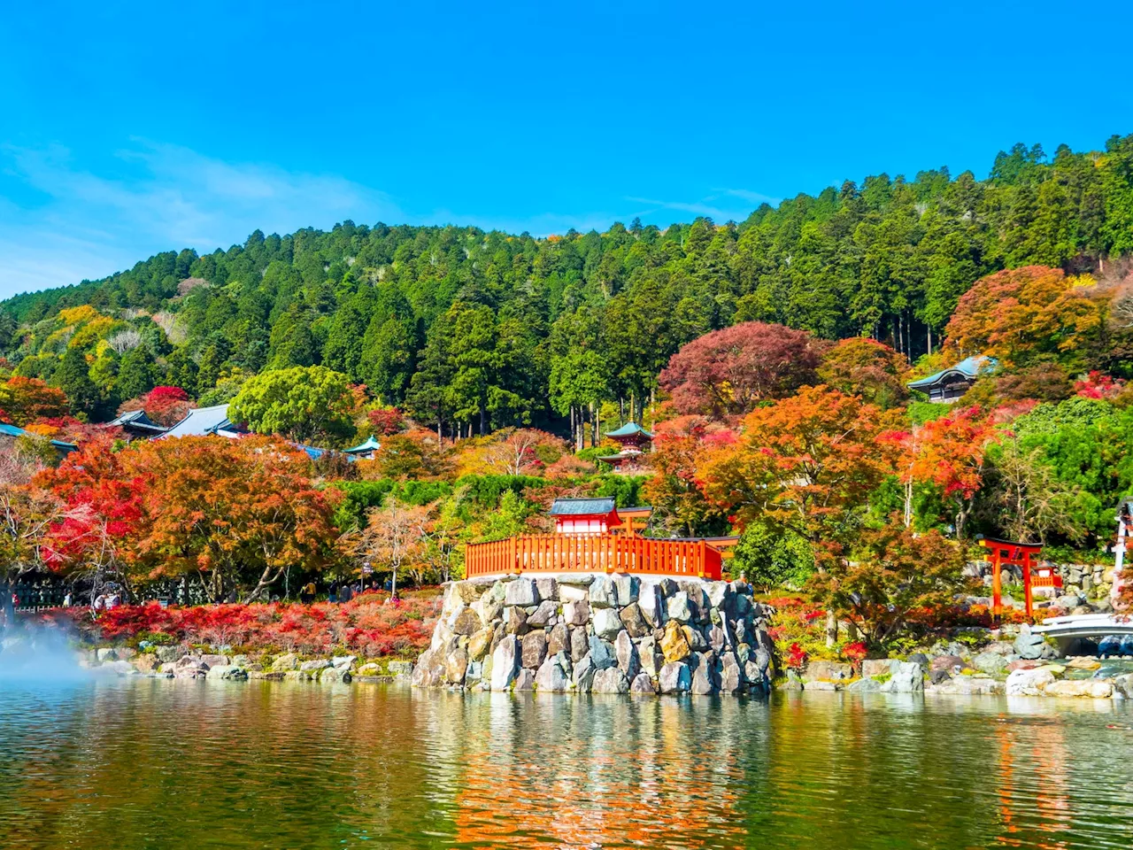 【寺社仏閣で全国先駆け】高低差のある８万坪の境内を持つ「勝尾寺」が、近距離モビリティ導入でバリアフリー環境を整備《メディア説明＆試乗会：2024年11月26日（火）10：30～》