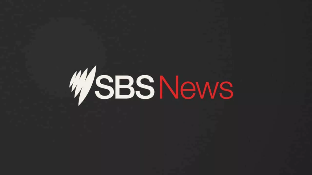 SBS News In Easy English 19 November 2024