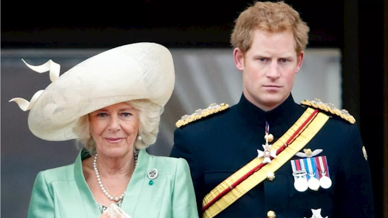 ‘Move on’: Camilla’s pal sends message to Harry after ‘wicked stepmother’ claims