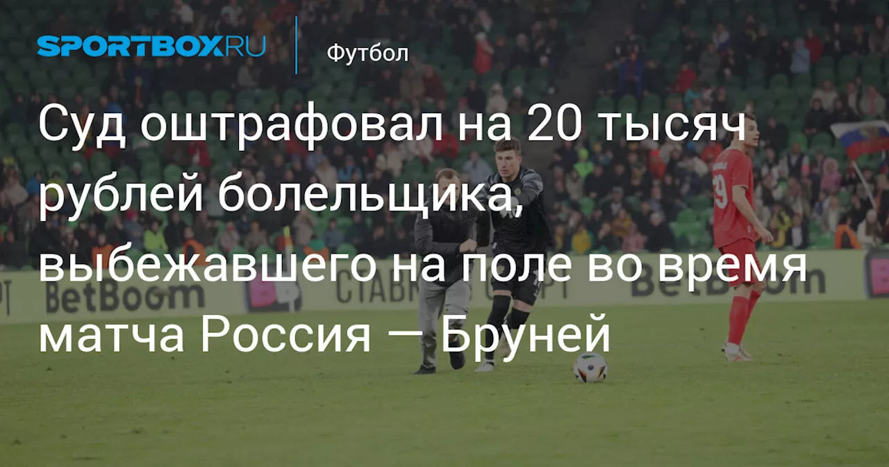 Суд оштрафовал на 20 тысяч рублей болельщика, выбежавшего на поле во время матча Россия — Бруней