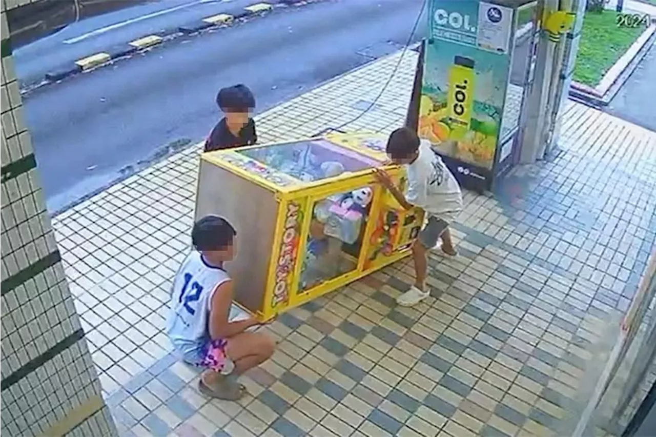 Labubu dolls missing after boys tilt claw machine in Yishun; police investigating