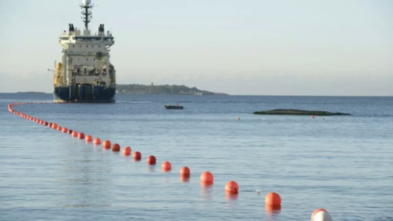 Schäden an Unterwasser-Kabeln in der Ostsee wecken Verdacht auf Sabotage