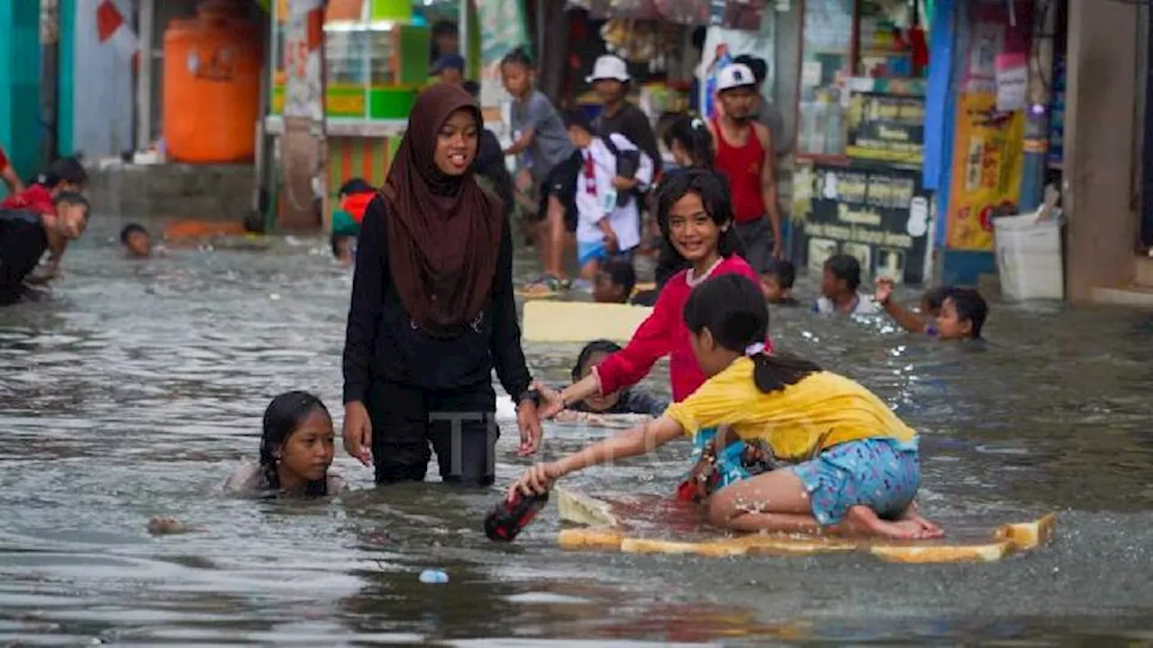 Banjir Rob Kembali Rendam Kawasan Muara Baru