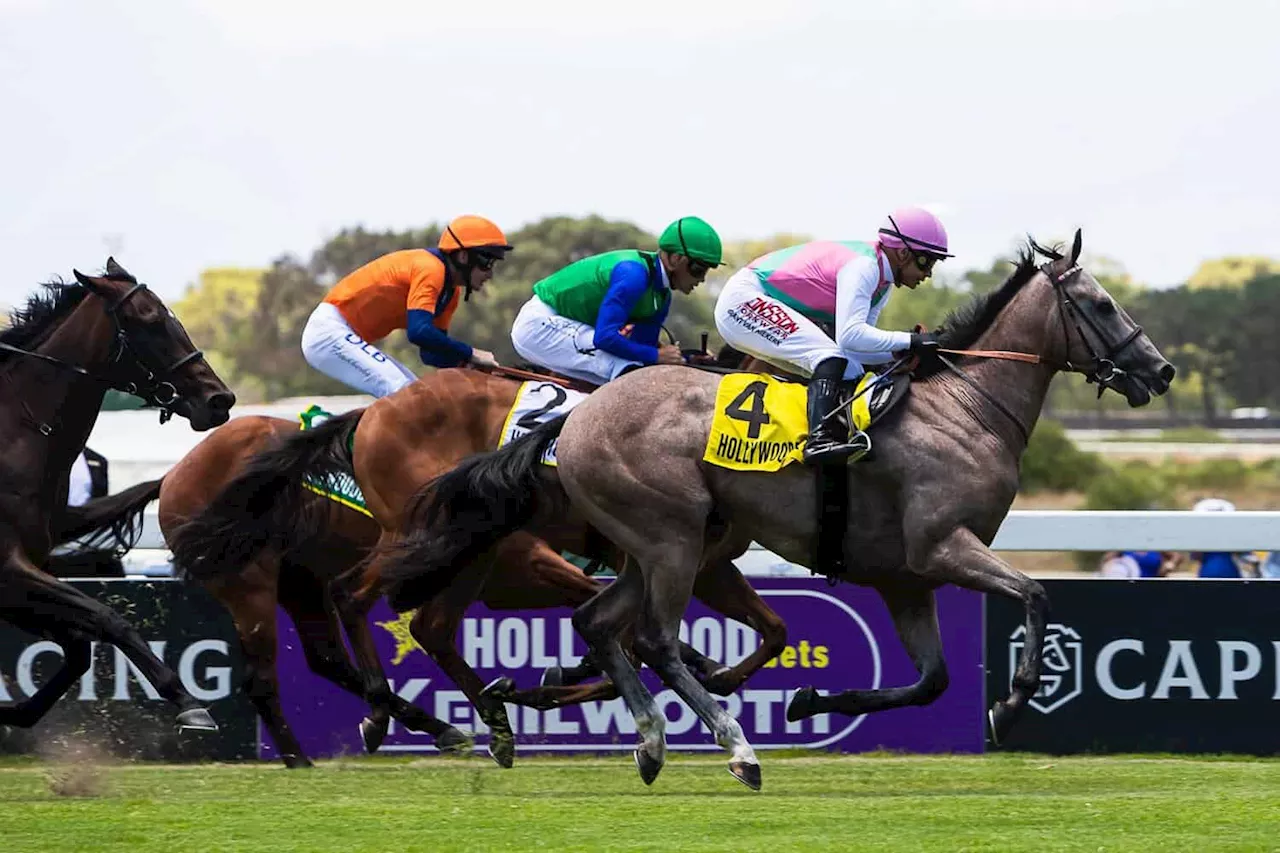 Cape Guineas lures Joburg smarties