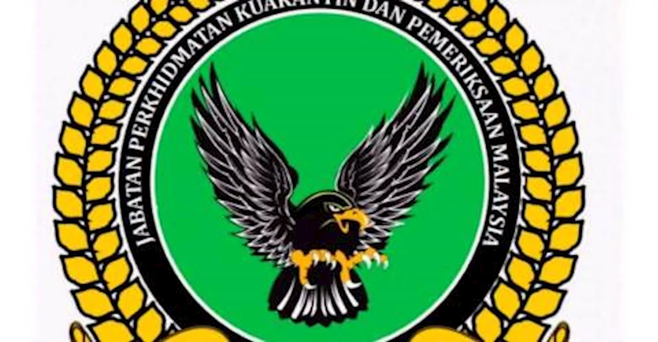 MAQIS rampas 50kg ayam sejuk beku di ICQS Rantau Panjang cuba diseludup ke dalam negara