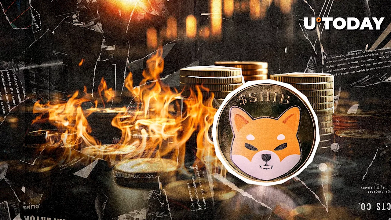 Shiba Inu (SHIB) Burn Rate Jumps 6,223% as Price Recovers