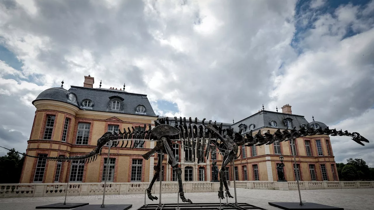 Un squelette géant de dinosaure vendu 6 millions d’euros