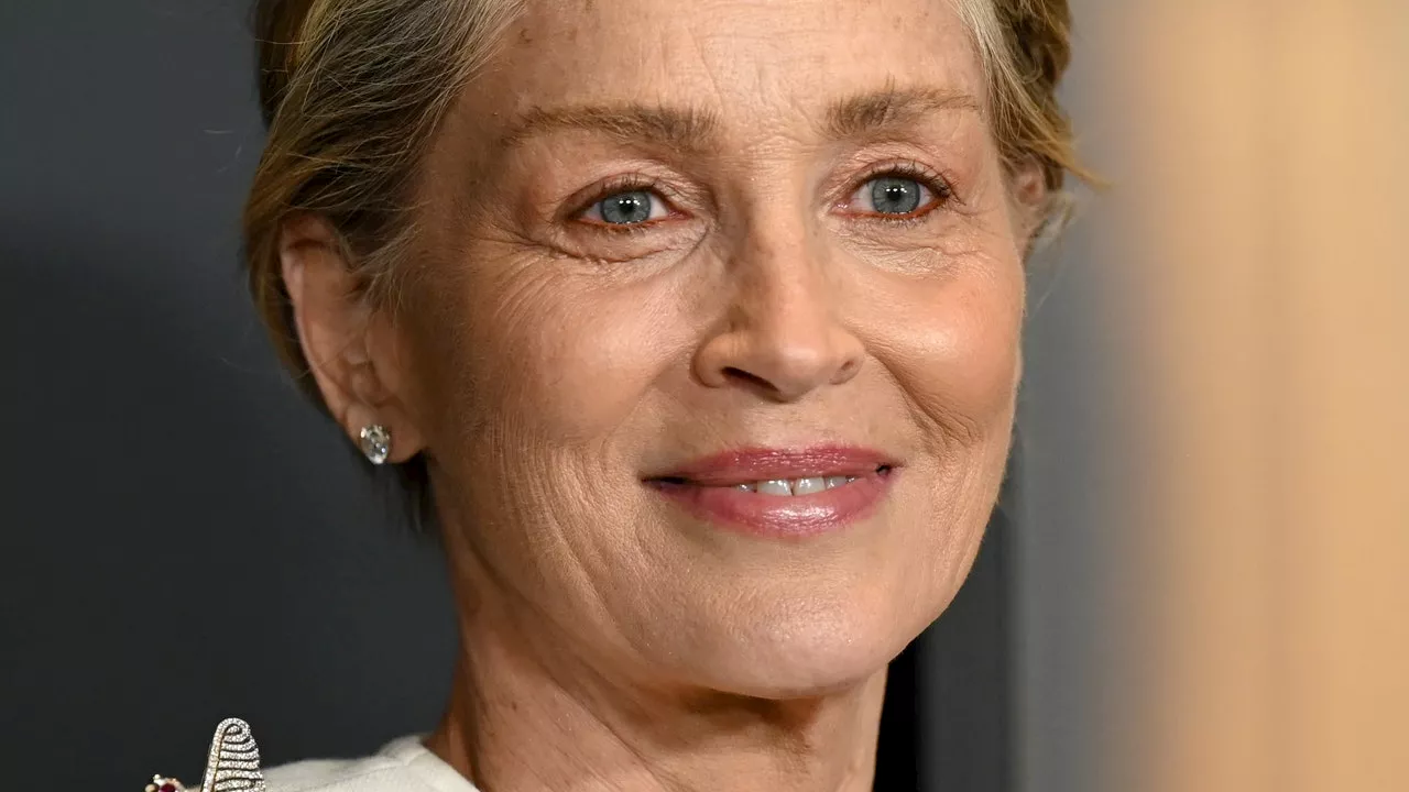 Sharon Stone : à 66 ans, l'actrice adopte une routine maquillage minimaliste et parfaite