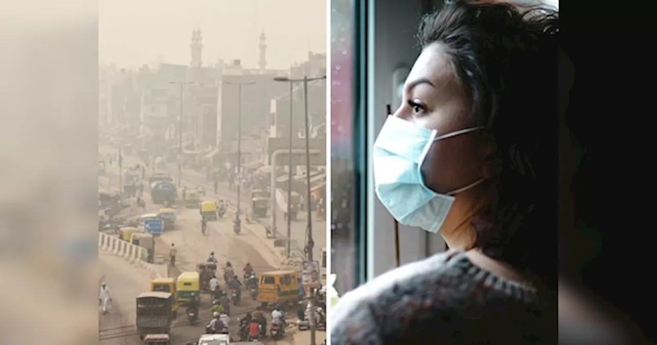 दिल्ली का AQI 494 पार, घर को पॉल्यूशन फ्री रखने के लिए करें ये उपाय