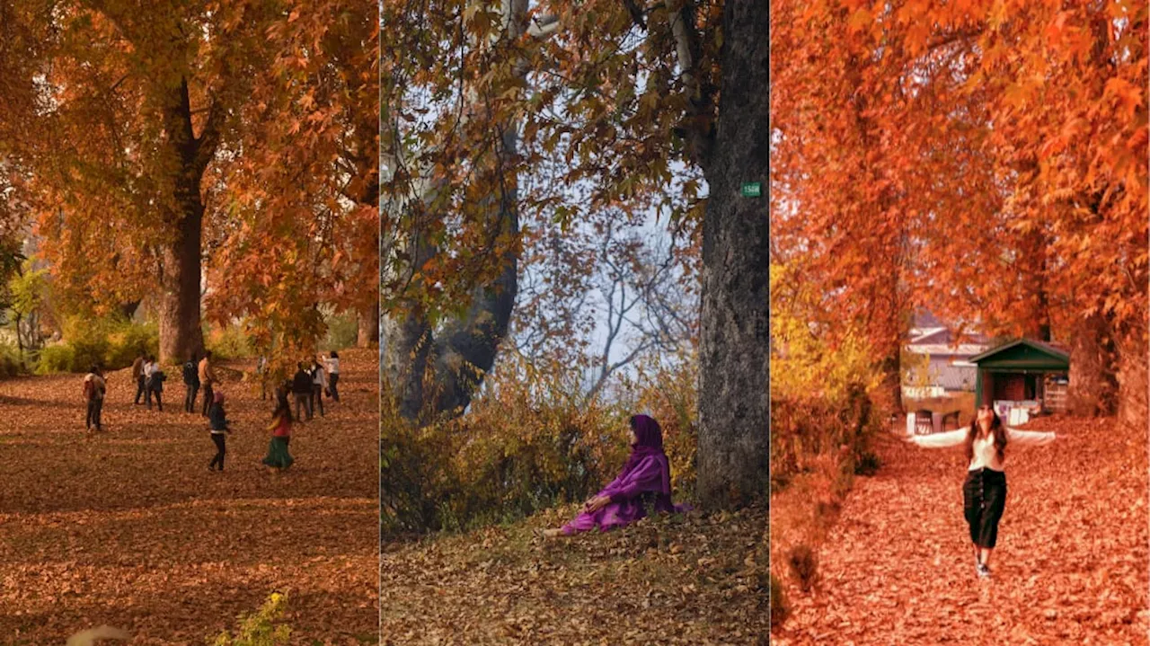 Harud Magic: Red-Hued Kashmir Abuzz With Tourists In November; Check Must-Visit Autumn Destinations Of Valley