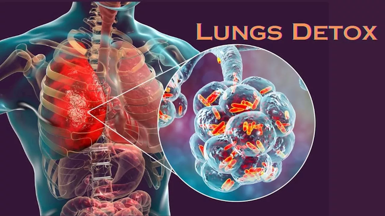 Lungs Detox: நுரையீரலில் சேரும் நச்சுக்களை இயற்கையாக நீக்க... நீங்கள் செய்ய வேண்டியவை