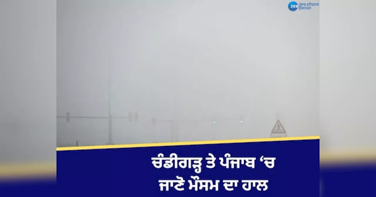 Punjab Weather Update: ਚੰਡੀਗੜ੍ਹ ਤੇ ਪੰਜਾਬ ਦੇ 15 ਜ਼ਿਲ੍ਹਿਆਂ ਚ ਧੁੰਦ ਨੂੰ ਲੈ ਕੇ ਅਲਰਟ, ਧੁੱਪ ਕਾਰਨ ਤਾਪਮਾਨ ਹੋਇਆ ਆਮ